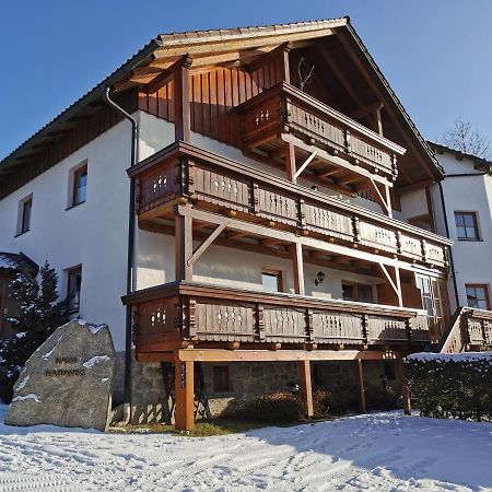 Haus Haidweg - Ferienwohnungen In Haidmuehle Im Dreilaendereck De-Cz-At Kültér fotó