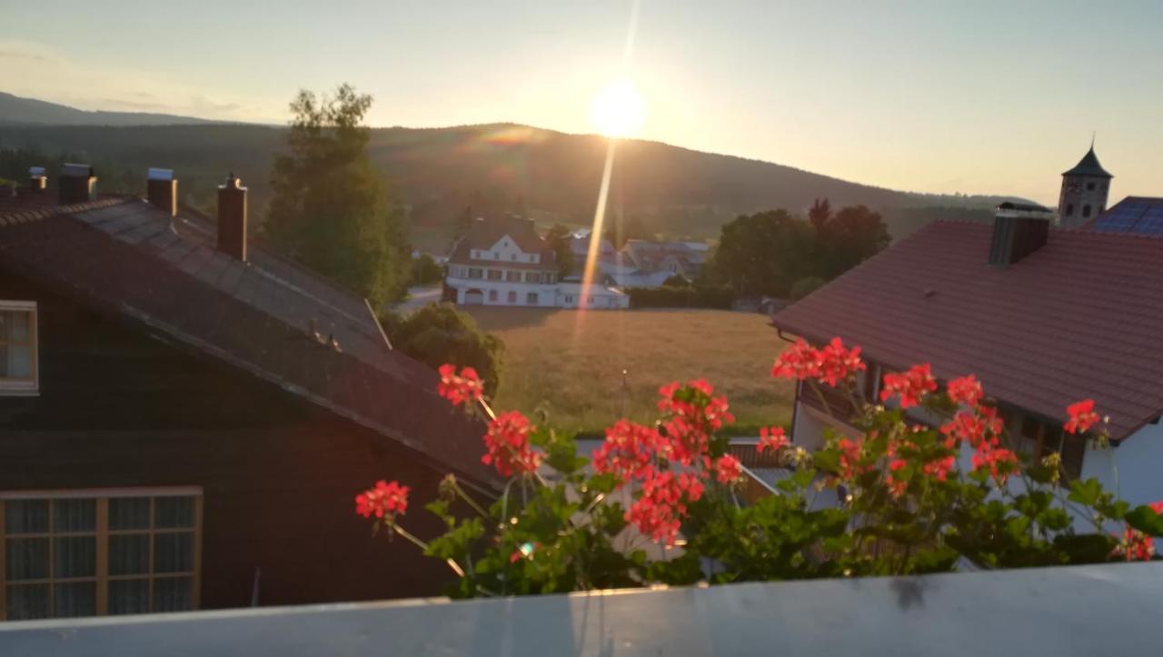 Haus Haidweg - Ferienwohnungen In Haidmuehle Im Dreilaendereck De-Cz-At Kültér fotó