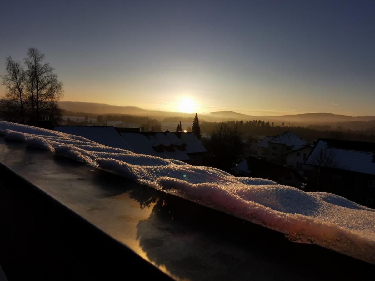 Haus Haidweg - Ferienwohnungen In Haidmuehle Im Dreilaendereck De-Cz-At Kültér fotó