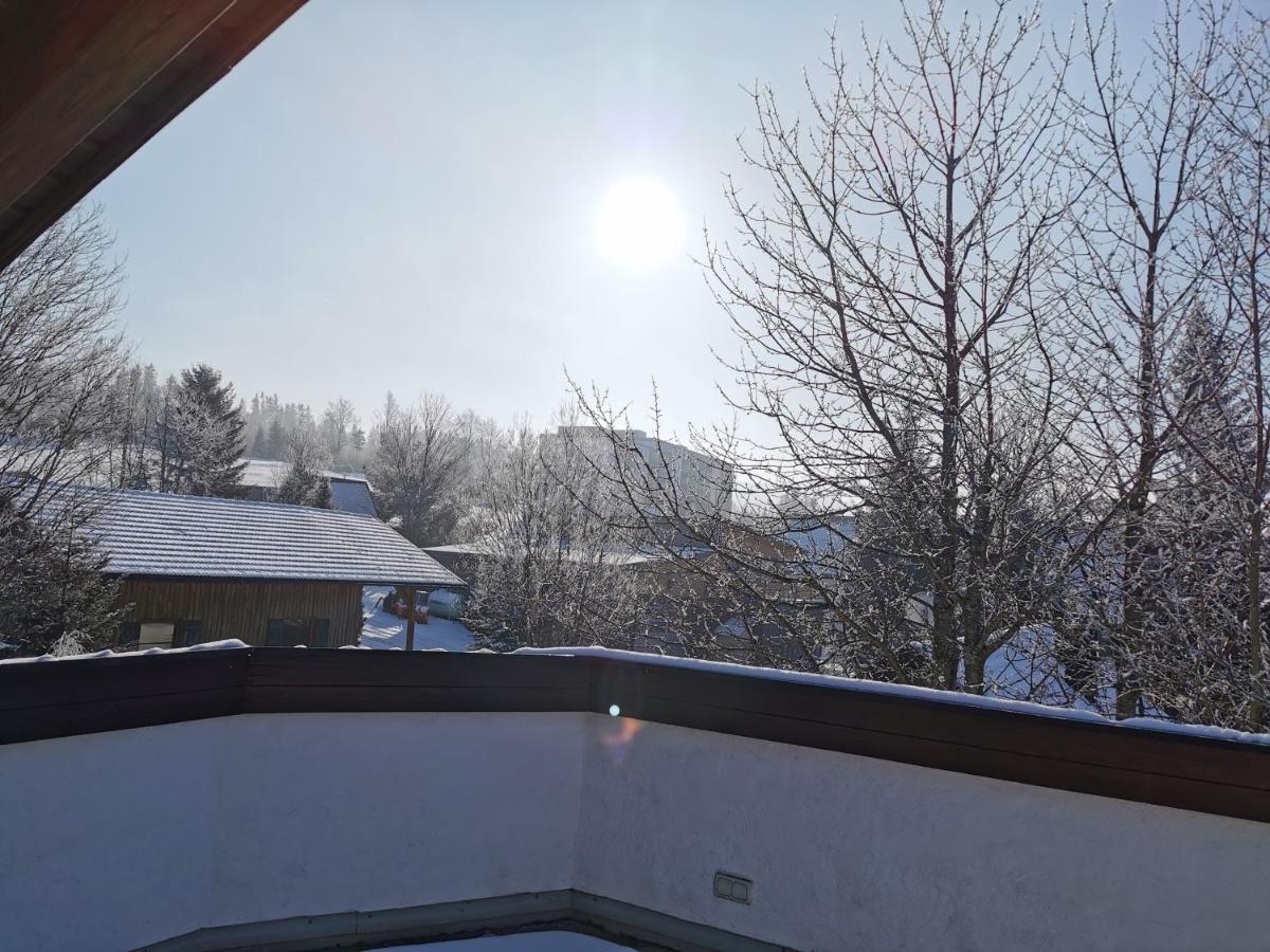 Haus Haidweg - Ferienwohnungen In Haidmuehle Im Dreilaendereck De-Cz-At Kültér fotó