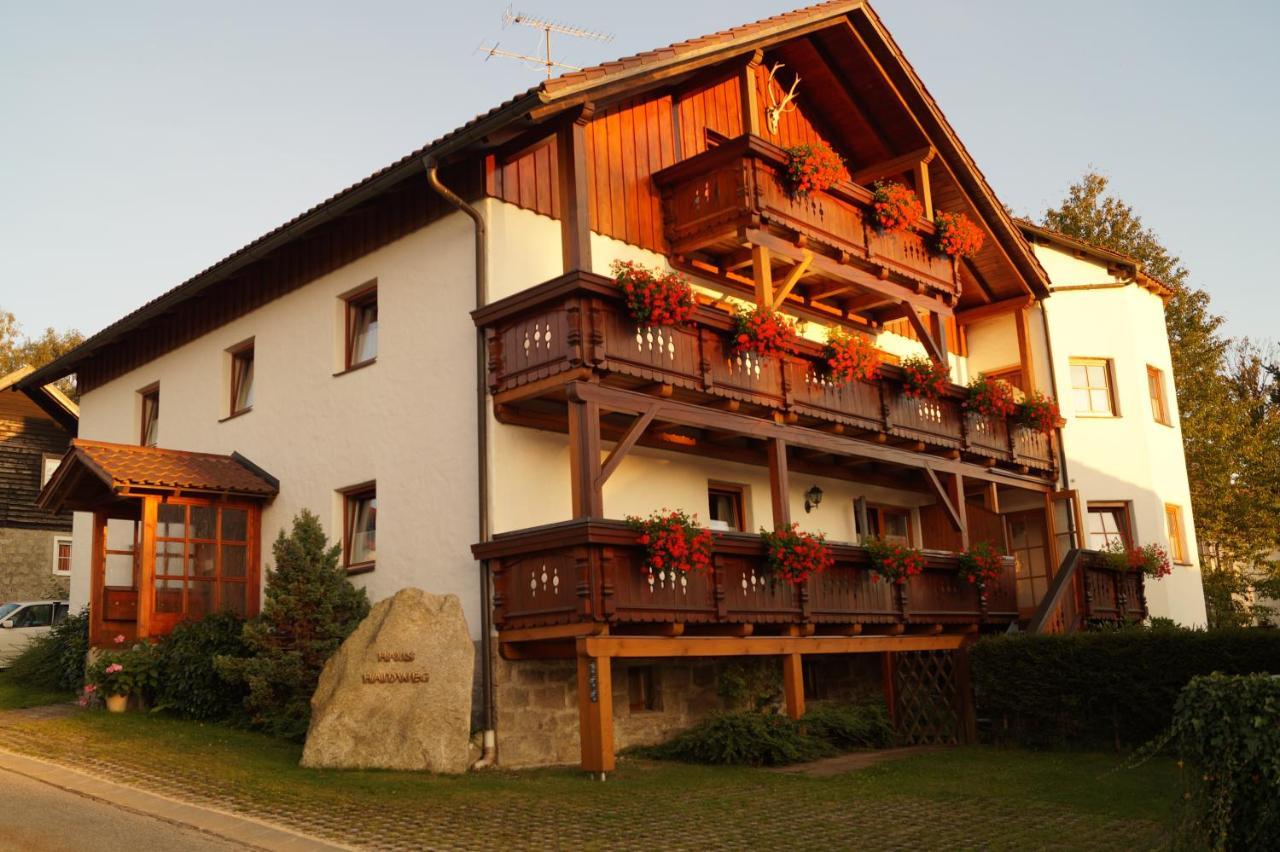 Haus Haidweg - Ferienwohnungen In Haidmuehle Im Dreilaendereck De-Cz-At Kültér fotó